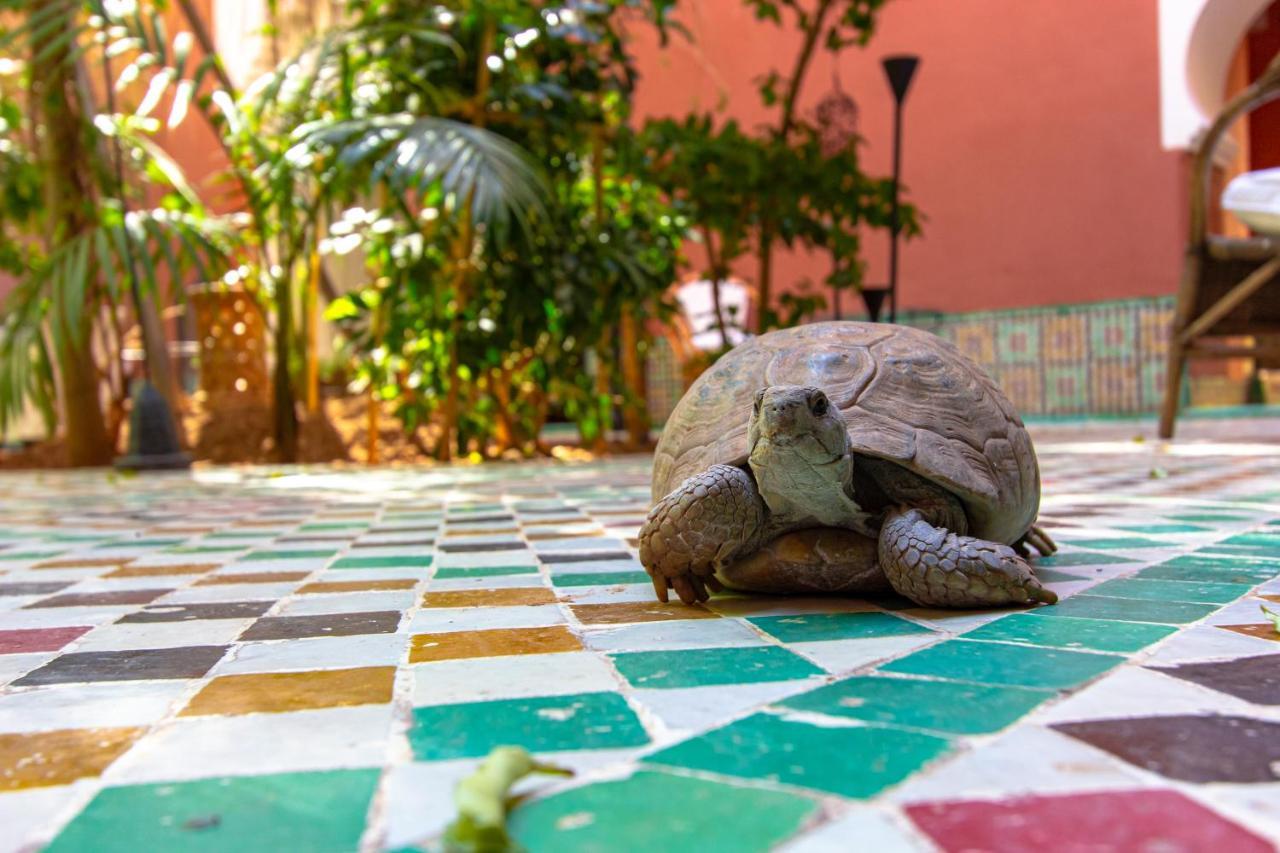 Riad Kaiss By Anika Marrakesh Exterior photo